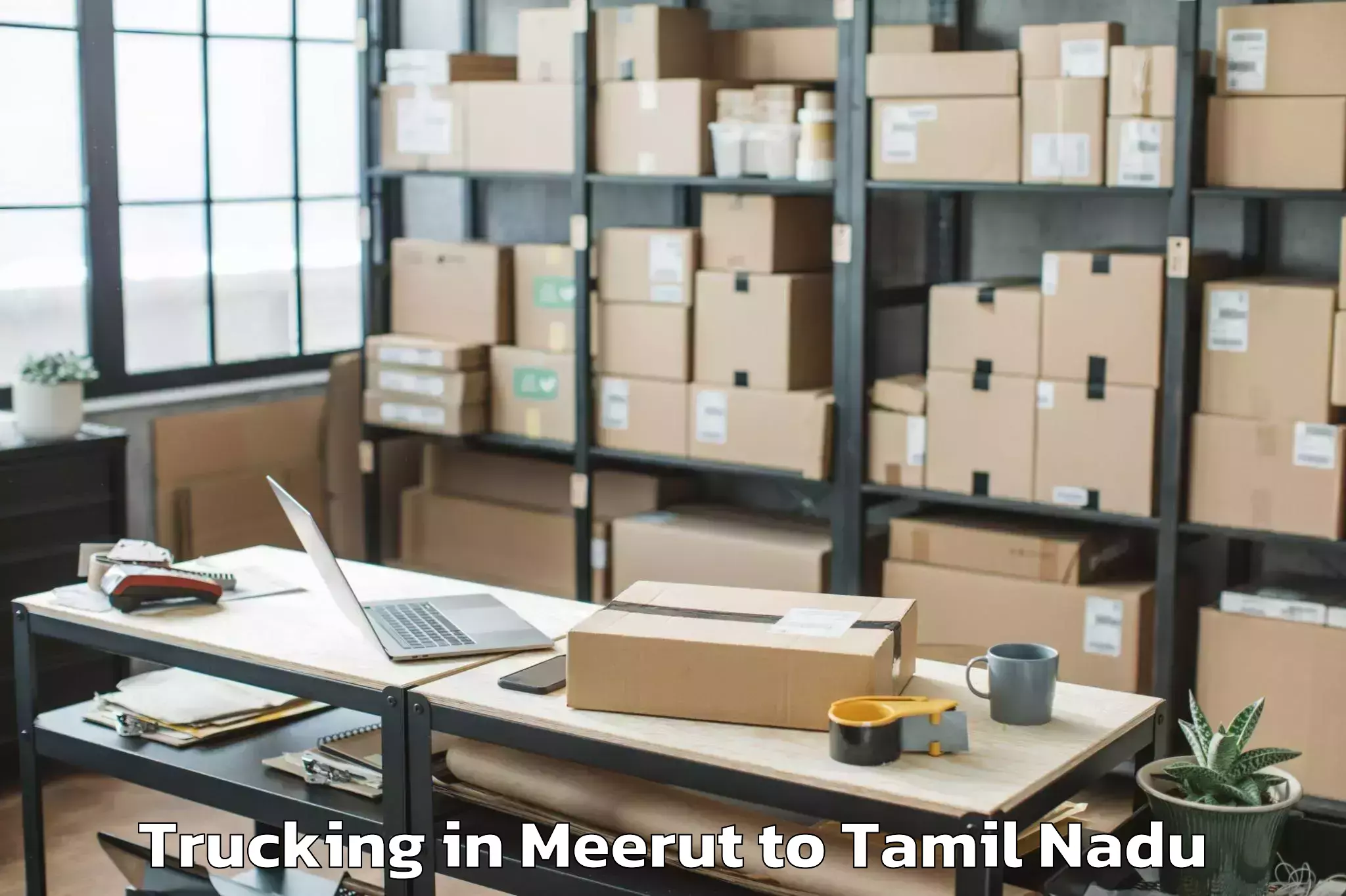 Expert Meerut to Theni Trucking